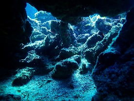 バブルリングダイバーズ串本のショップ写真6