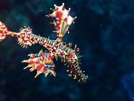 ショップのイメージ画像4