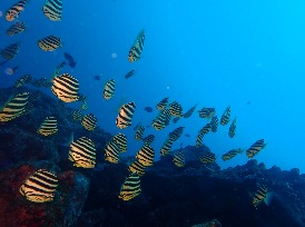 ショップのイメージ画像5