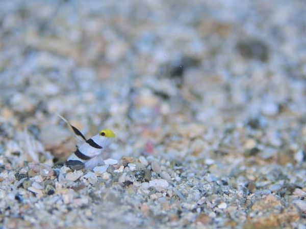 ショップのイメージ画像5