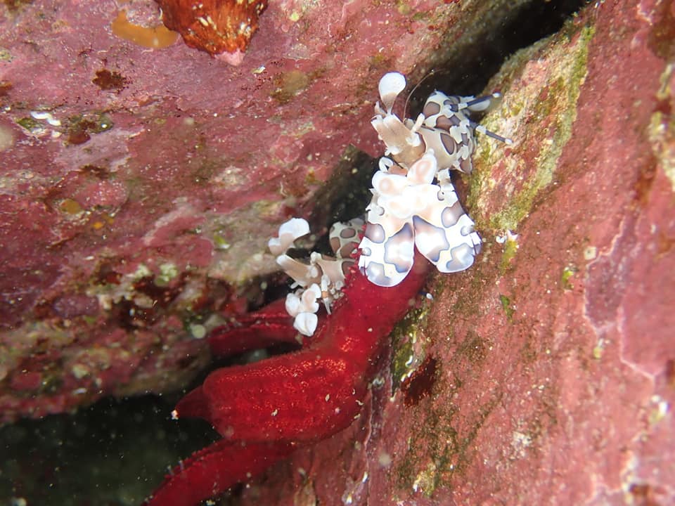 ショップのイメージ画像5