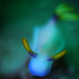 スーパーナチュラルのショップ写真10