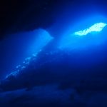 BLUE MOONのカバー画像2