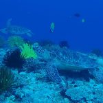 ショップのイメージ画像5