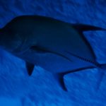 ショップのイメージ画像3