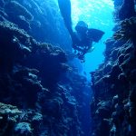 BLUE MOONのショップ写真6