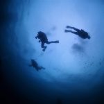 BLUE MOONのショップ写真10