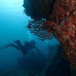 BLUE MOONのショップ写真7