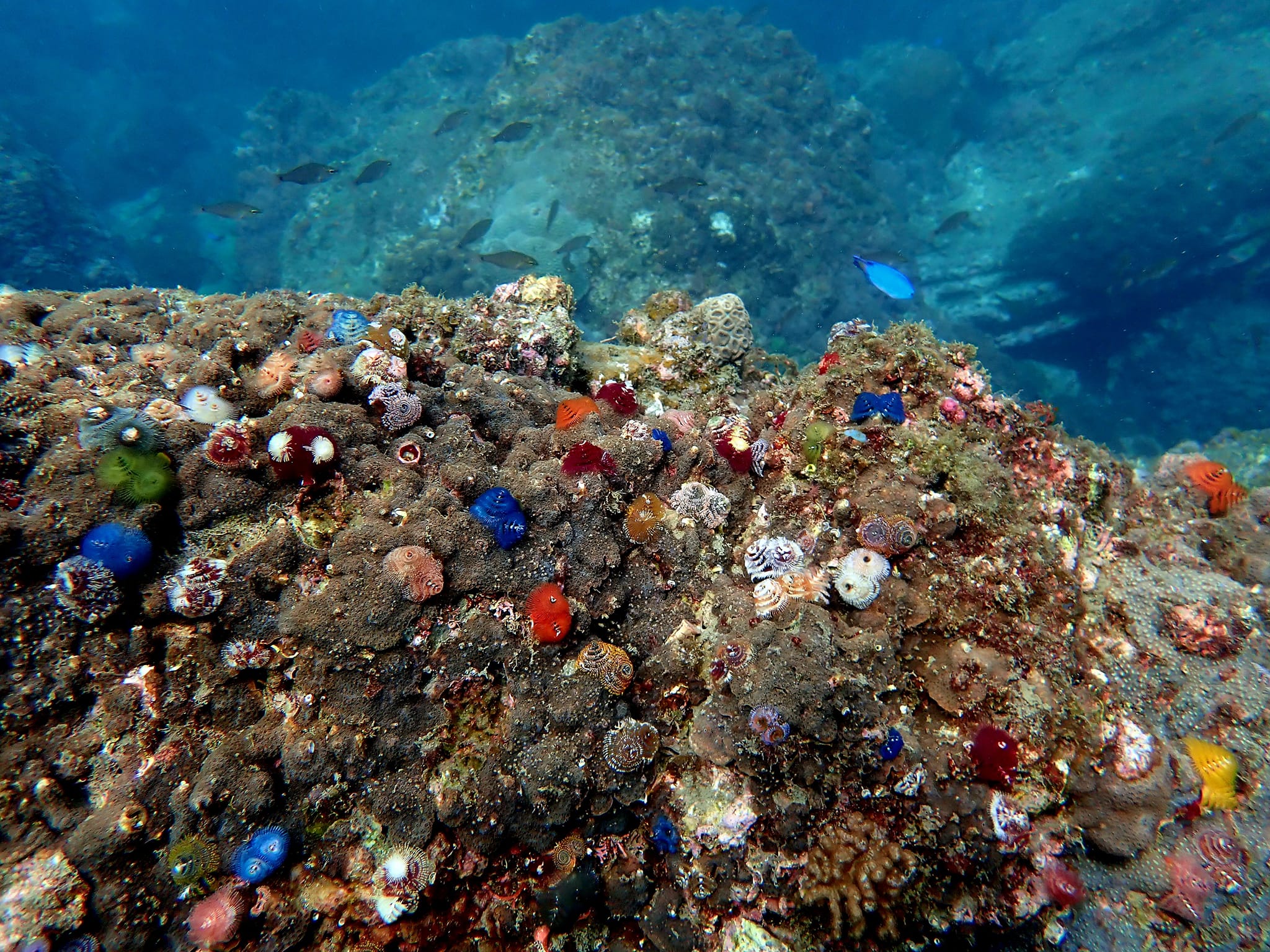 BLUE MOONのショップ写真9