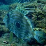 ショップのイメージ画像4