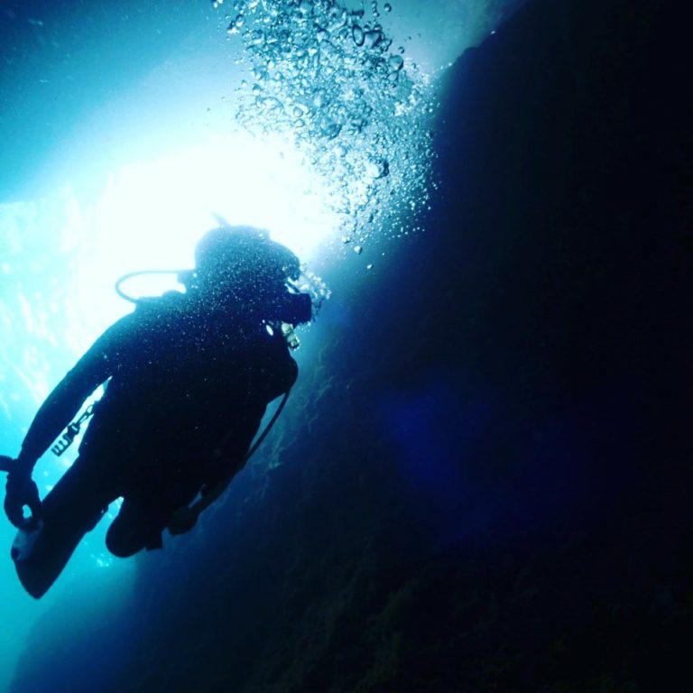 Blue Earth 21のカバー画像3