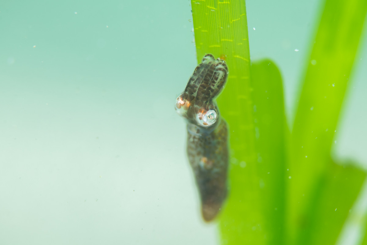 T-styleのショップ写真8