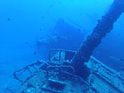 ダイブ コーヴィーのカバー画像2