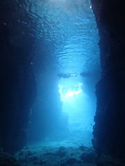 ショップのイメージ画像4