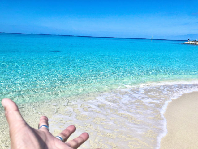 シンプリーブルーのカバー画像3