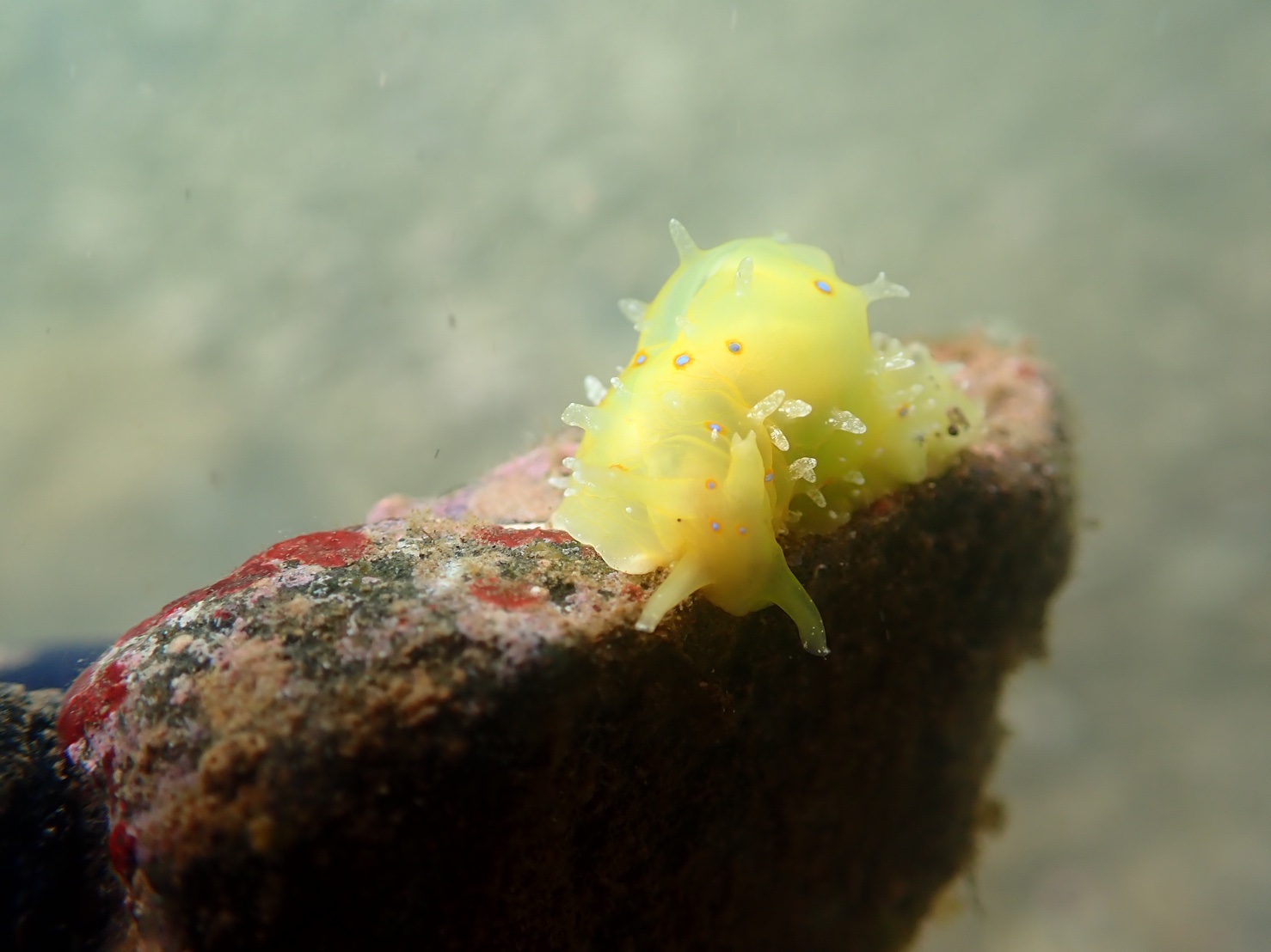 ショップのイメージ画像5