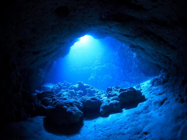 マレア東京店のカバー画像3