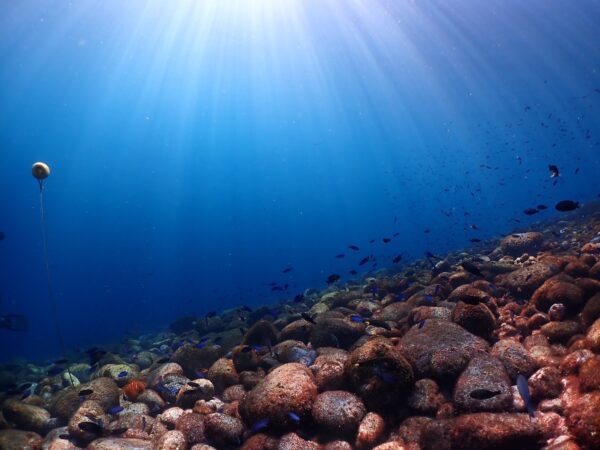 ショップのイメージ画像4