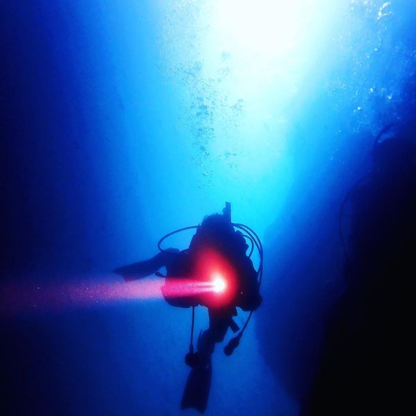 ブルーアース21 都立大のショップ写真7