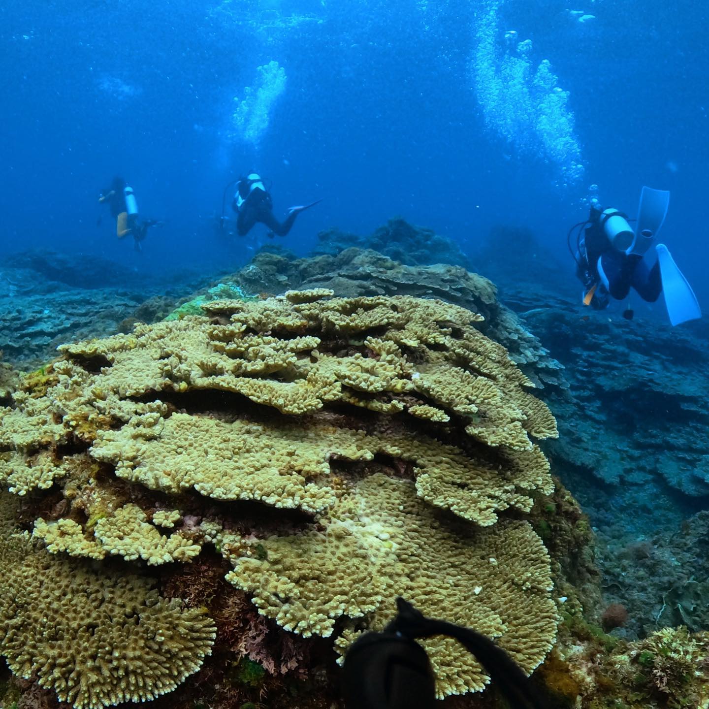 ブルーアース21 都立大のカバー画像3