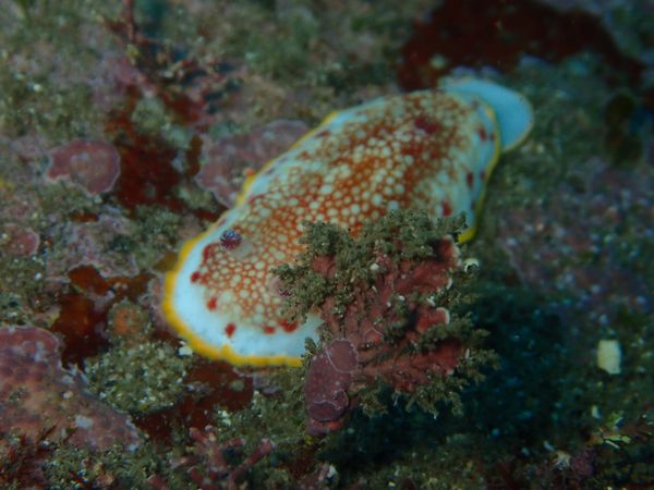 WITH新宿のカバー画像3