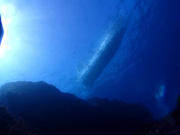 WITH新宿のカバー画像2