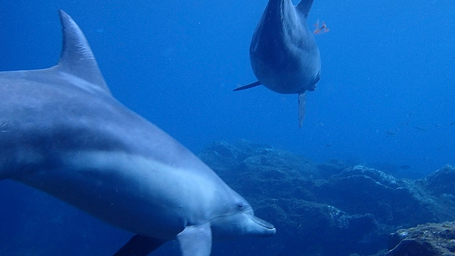 アクアビット東京店のショップ写真6