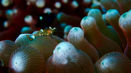 アクアビット東京店のショップ写真8