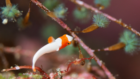 アクアビット東京店のカバー画像1