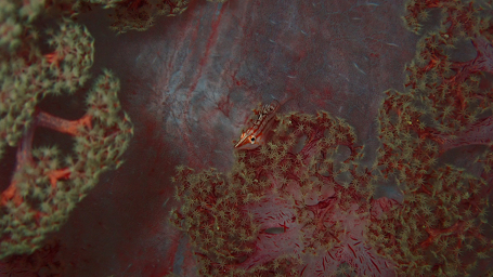 アクアビット東京店のショップ写真10