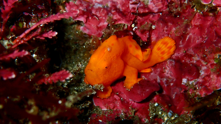 ショップのイメージ画像5