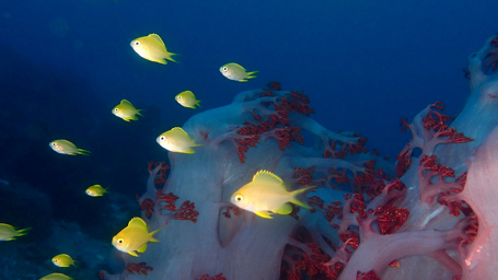 アクアビット東京店のショップ写真7