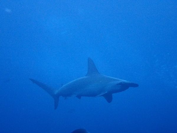 ショップのイメージ画像4