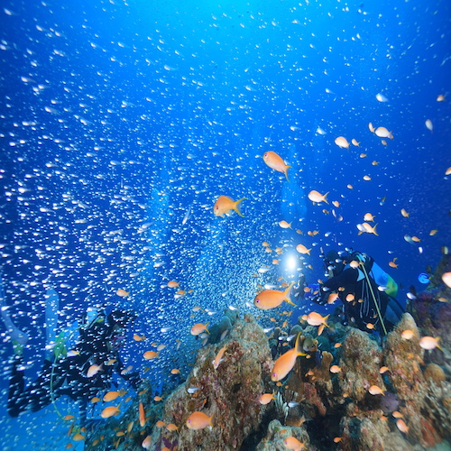 TAKEDIVEのカバー画像2