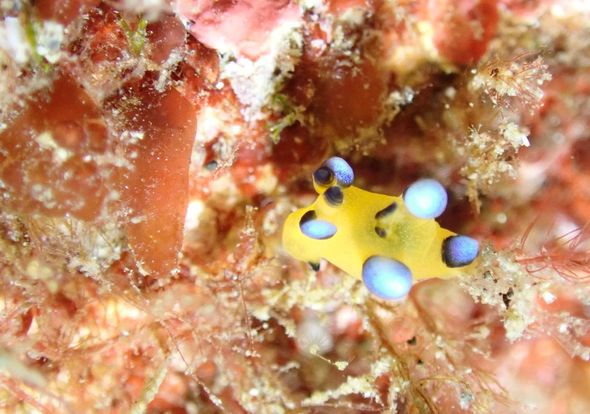 ショップのイメージ画像5