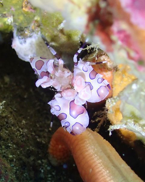 ショップのイメージ画像4