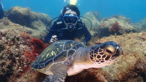 BIG BLUE DIVING SCHOOLのカバー画像3