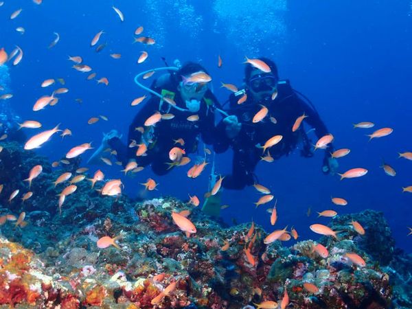 BIG BLUE DIVING SCHOOLのカバー画像2