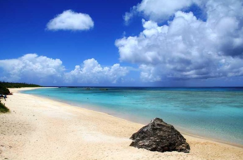 ココナッツ横浜店のカバー画像3