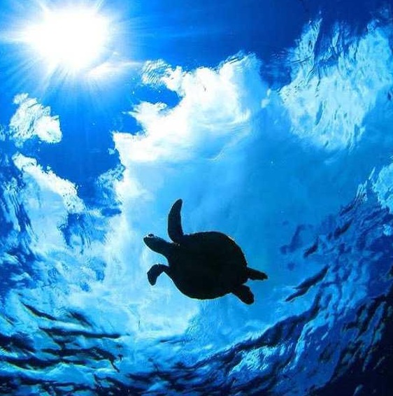 ココナッツ横浜店のカバー画像2