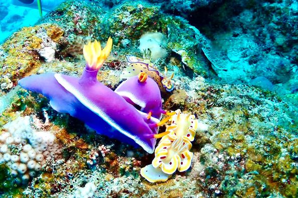 ショップのイメージ画像4