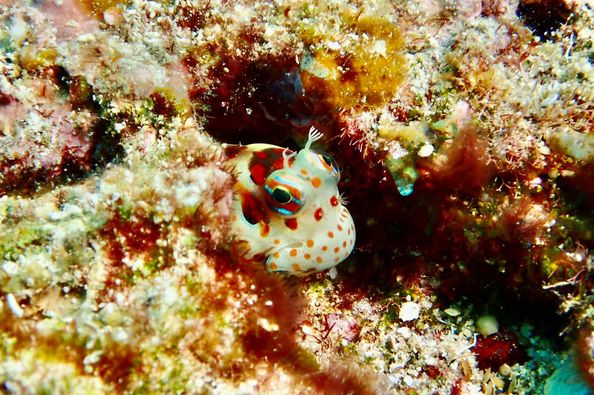 ショップのイメージ画像5