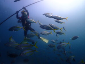 スーパースクーバフィズのショップ写真7