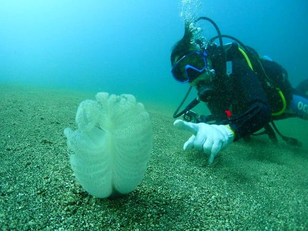 KIAORAのショップ写真7