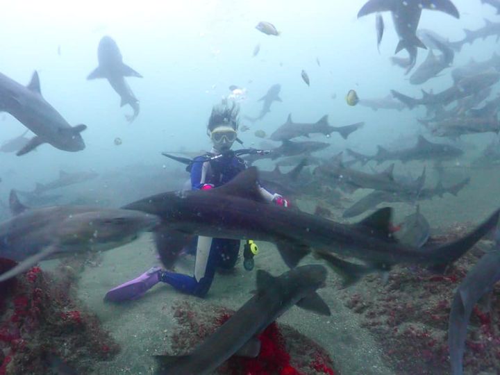 KIAORAのショップ写真8