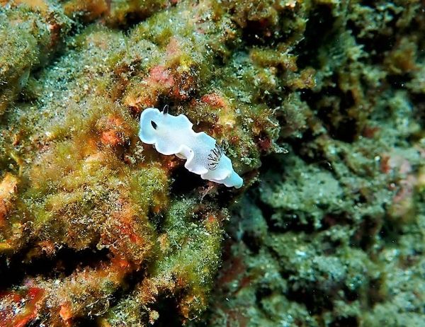 ブルー&スノーダイビング 柏店のショップ写真7