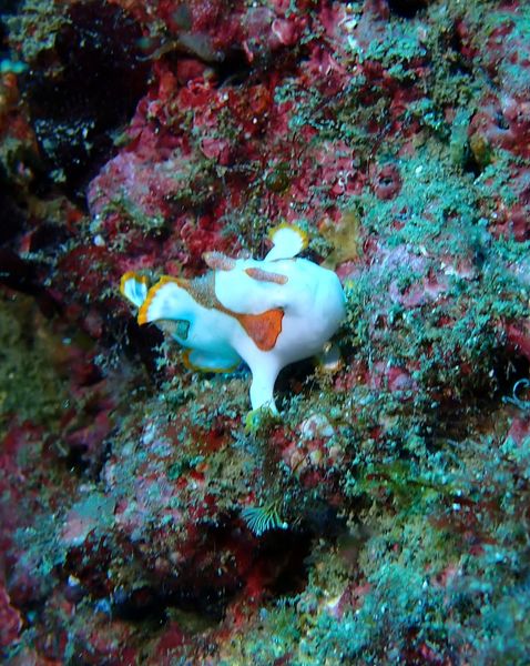 ショップのイメージ画像5