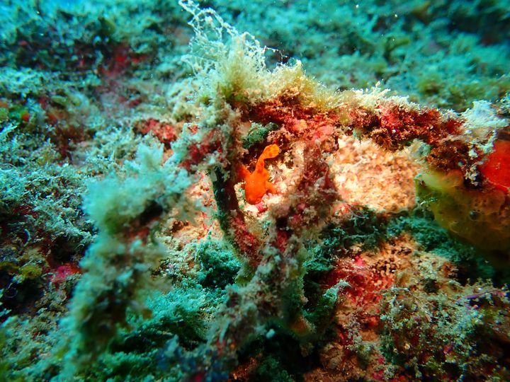 ショップのイメージ画像4