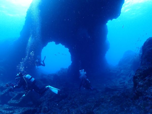 ブルー&スノーダイビング 柏店のカバー画像2