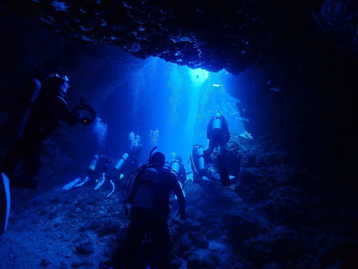 ブルー&スノーダイビング 柏店のカバー画像3